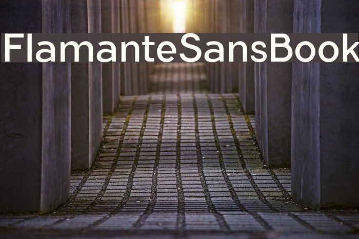 FlamanteSansBook Font examples