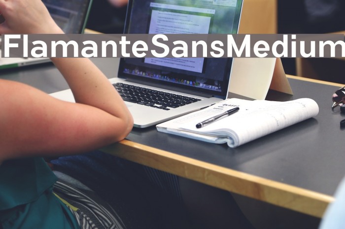 FlamanteSansMedium Font examples