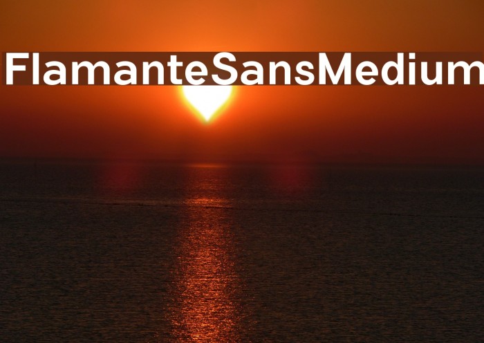 FlamanteSansMedium Font examples