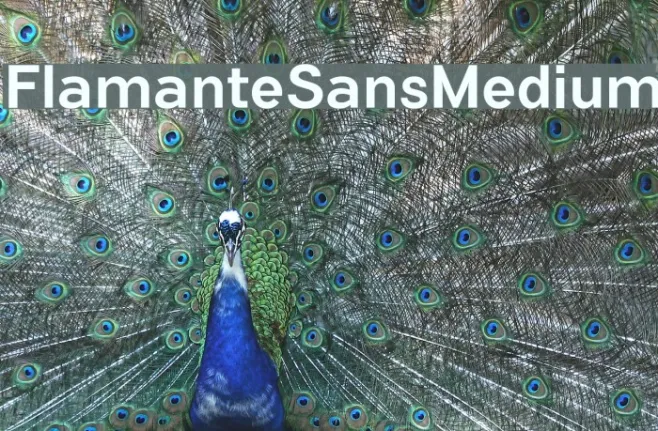 FlamanteSansMedium Example 3