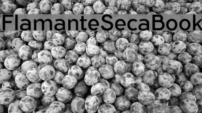 FlamanteSecaBook Font examples