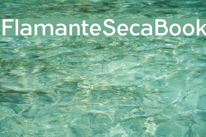 FlamanteSecaBook Font examples