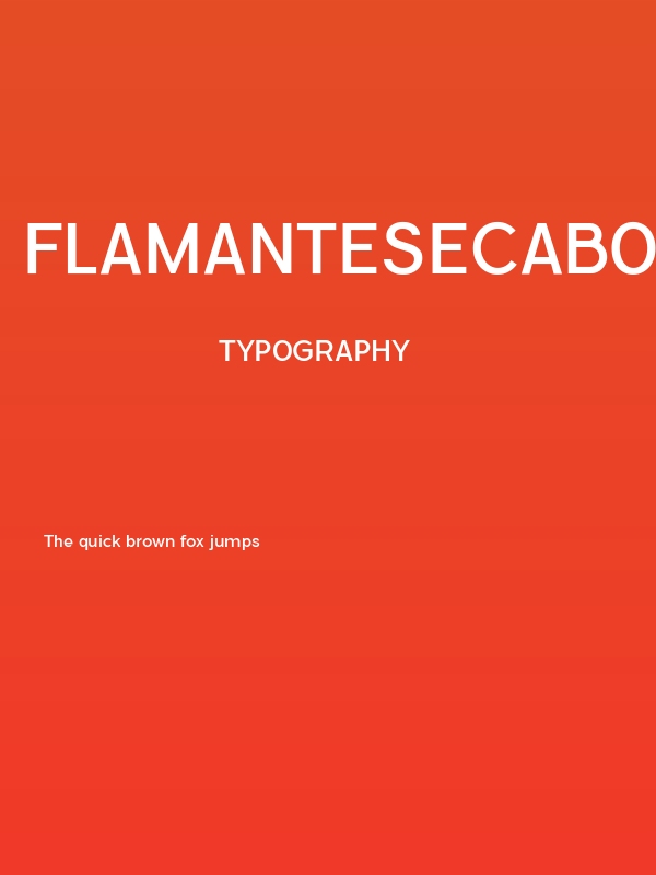 FlamanteSecaBook Poster