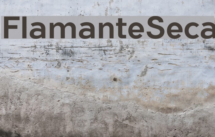 FlamanteSeca Font examples