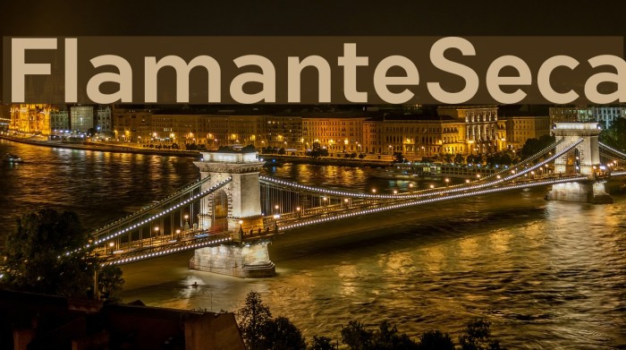 FlamanteSeca Font examples