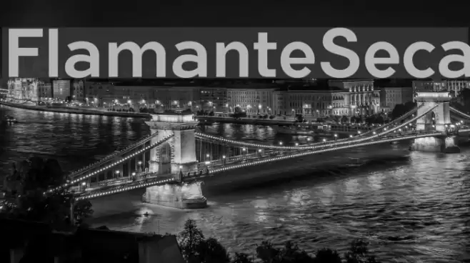 FlamanteSeca Font examples