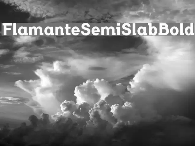 FlamanteSemiSlabBold Font examples
