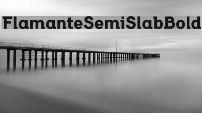 FlamanteSemiSlabBold Font examples
