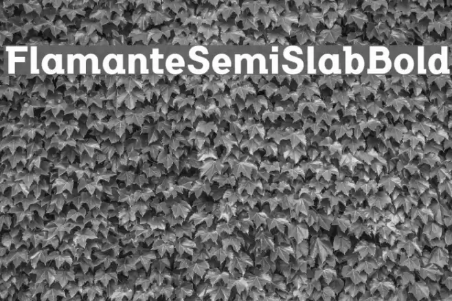 FlamanteSemiSlabBold Font examples