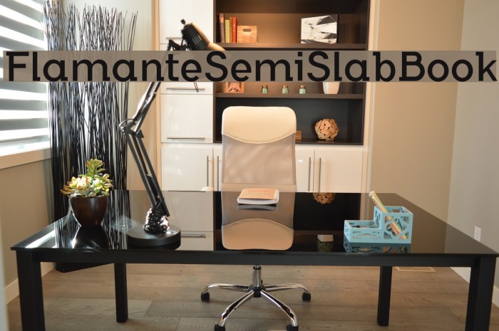 FlamanteSemiSlabBook Font examples