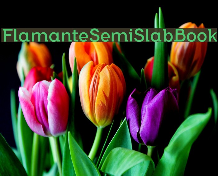FlamanteSemiSlabBook Font examples
