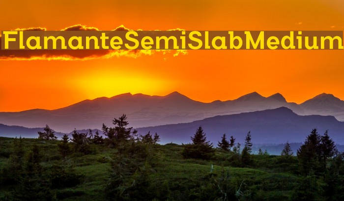 FlamanteSemiSlabMedium Example 2