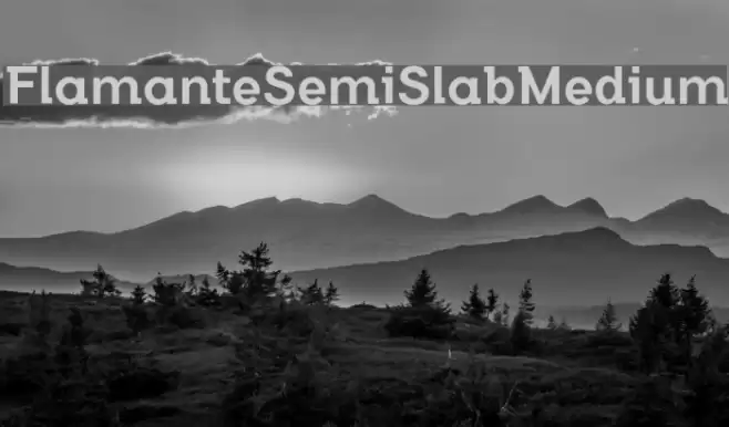 FlamanteSemiSlabMedium Font examples