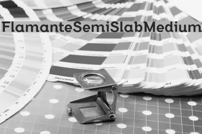 FlamanteSemiSlabMedium Font examples