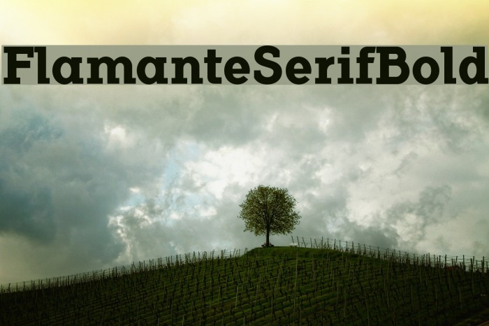 FlamanteSerifBold Example 1