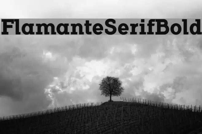 FlamanteSerifBold Font examples