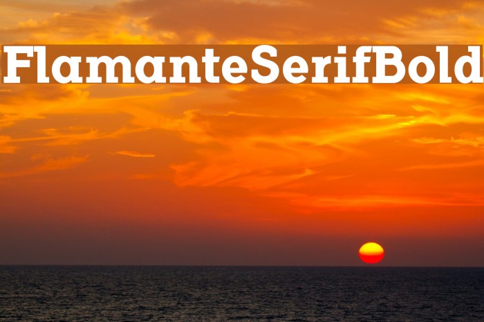 FlamanteSerifBold Example 2