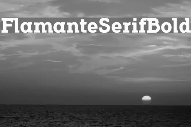 FlamanteSerifBold Font examples