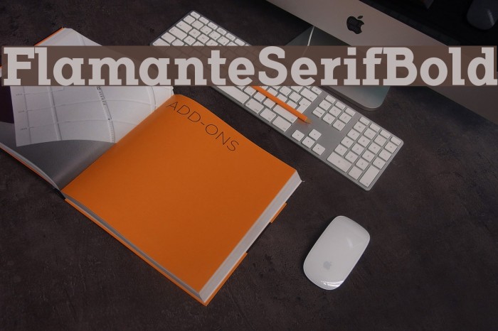FlamanteSerifBold Example 3
