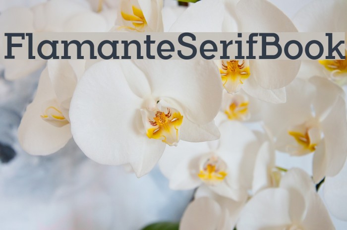 FlamanteSerifBook Font examples