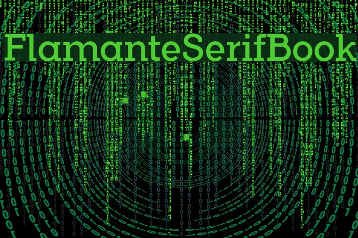 FlamanteSerifBook Font examples