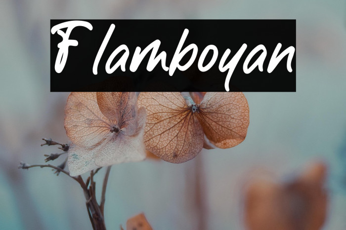 Flamboyan 字体 examples