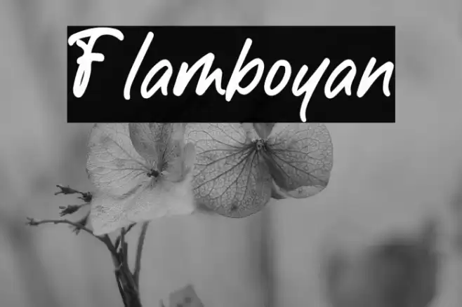Flamboyan Шрифта examples