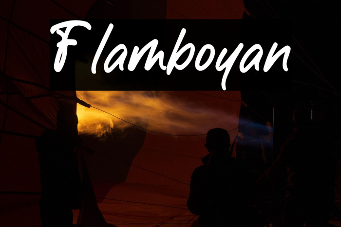 Flamboyan 字体 examples