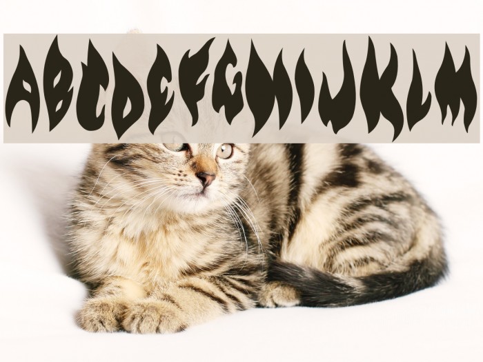 Flame on Black Font examples
