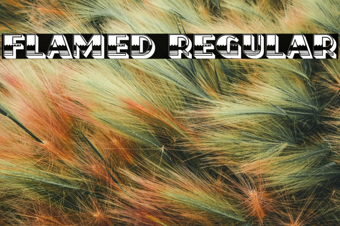 Flamed Regular Example 1
