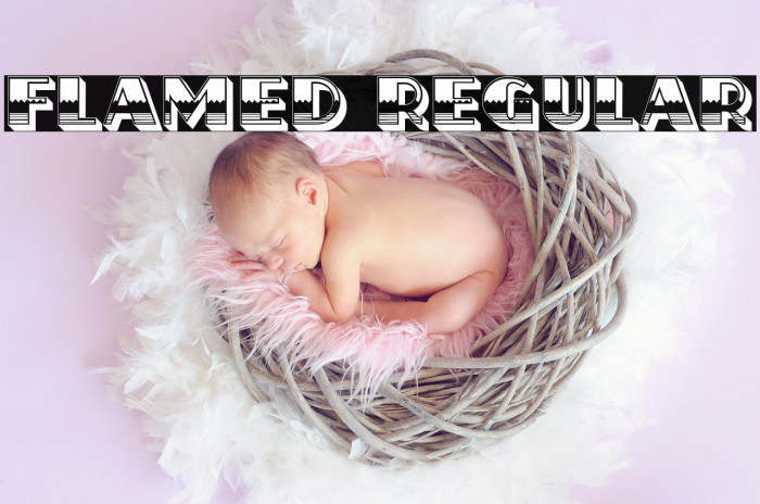 Flamed Regular Example 2