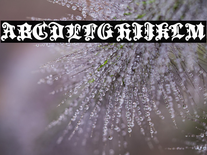 Flamenco Division Example 2