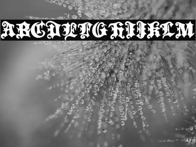 Flamenco Division Font examples