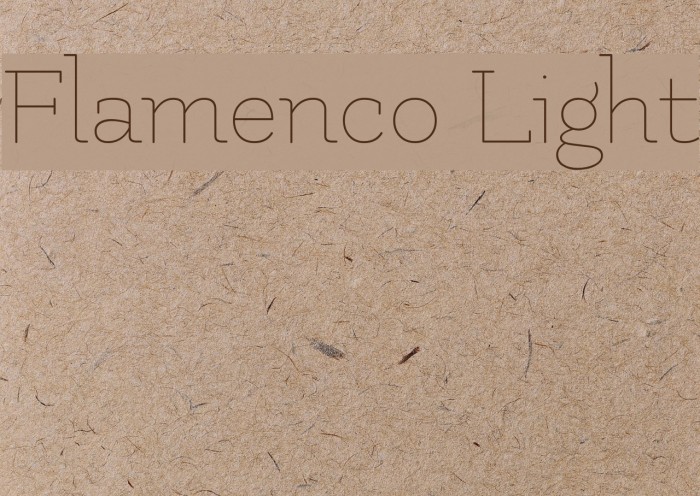 Flamenco Light Font examples
