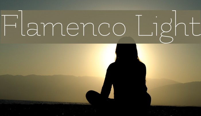 Flamenco Light Font examples