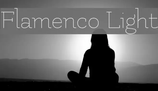 Flamenco Light Font examples
