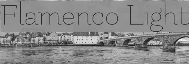 Flamenco Light Font examples