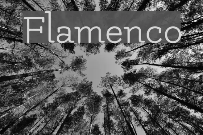 Flamenco Font examples