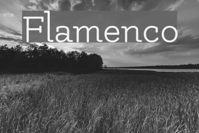 Flamenco Font examples