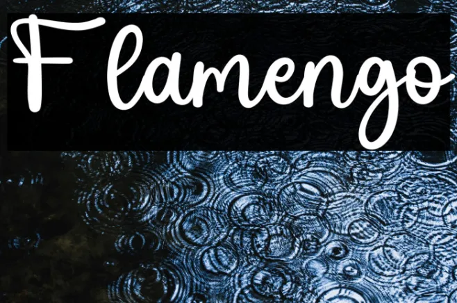 Flamengo Example 1