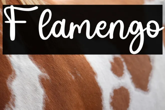 Flamengo Example 2