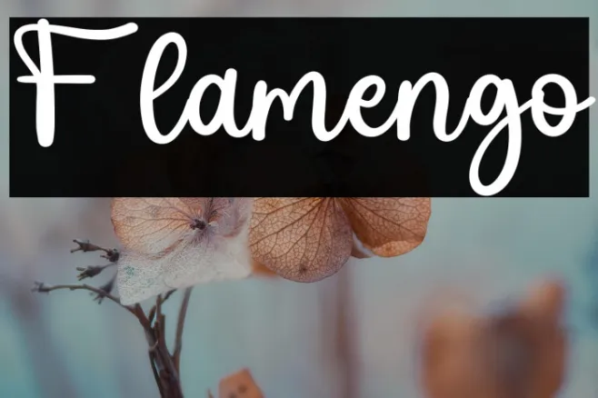 Flamengo Example 3