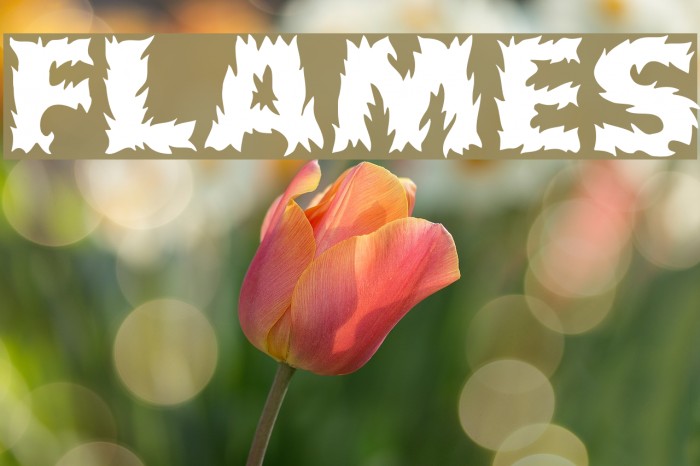 Flames Font examples