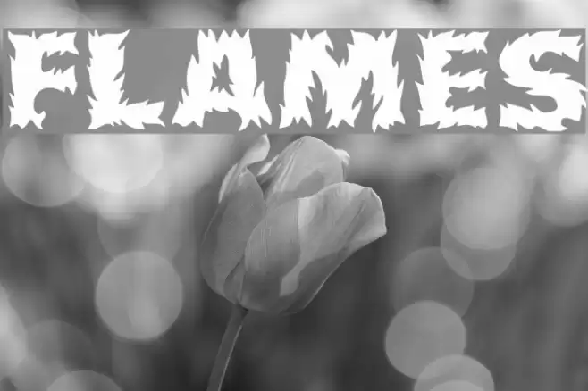 Flames Font examples