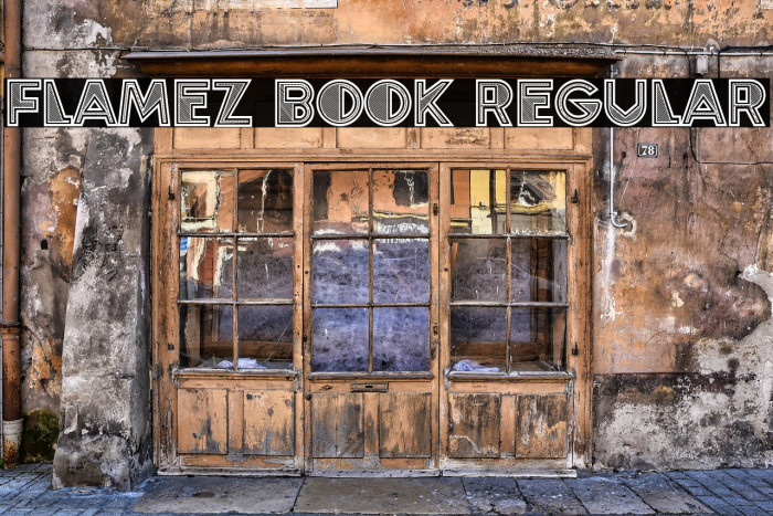 Flamez Book Regular Example 3