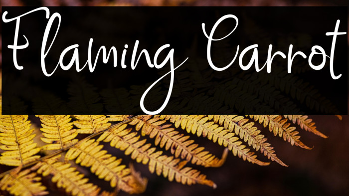 Flaming Carrot Example 1