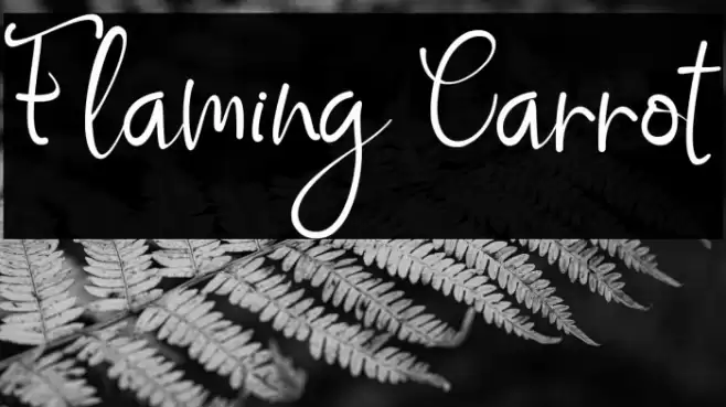 Flaming Carrot Font examples