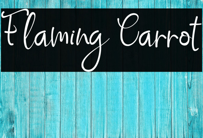 Flaming Carrot Example 2