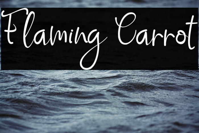 Flaming Carrot Example 3