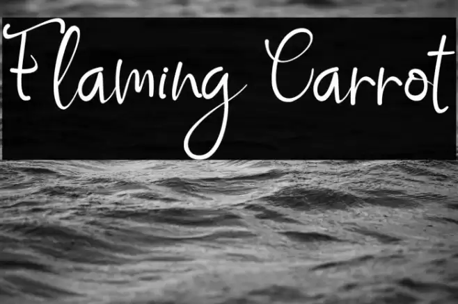 Flaming Carrot Font examples